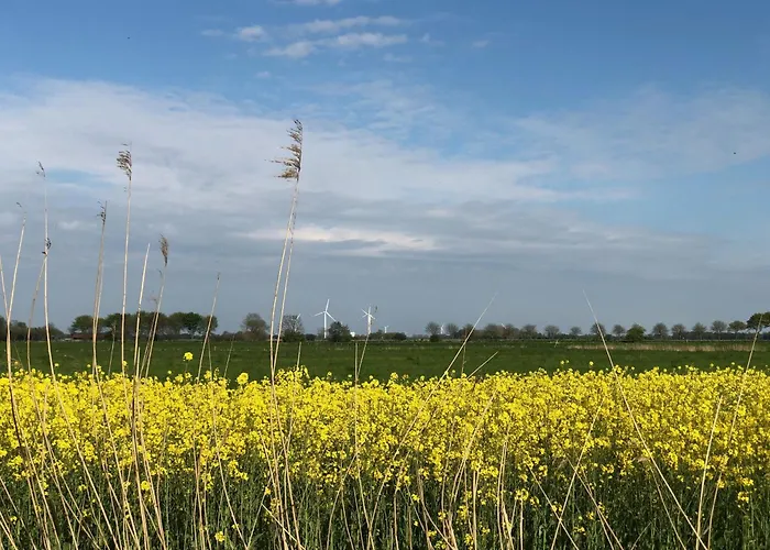 Tief 12 Friesenstube 43 Daire